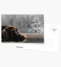 Dreamin' of a White Christmas... Postcards