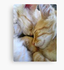 Snuggle Kittens Metal Print