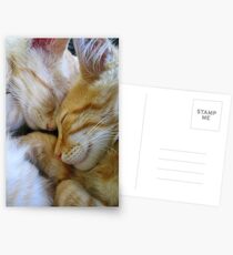 Snuggle Kittens Postcards