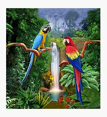 Lámina fotográfica LOROS TROPICALES DE MACAW