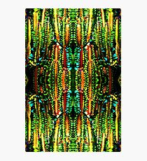 African Milk Tree Photographic Print