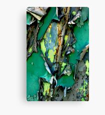 Peeling paint Canvas Print