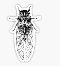 Cicada Sticker