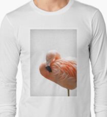 Flamingo 09 Langarmshirt