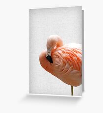 Flamingo 09 Grußkarte