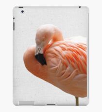 Flamingo 09 iPad-Hülle & Skin