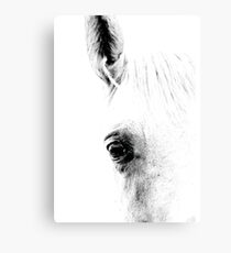 Horse 01 Leinwanddruck