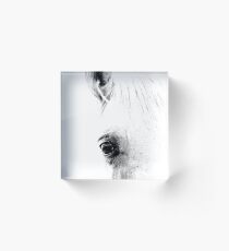 Horse 01 Acrylblock