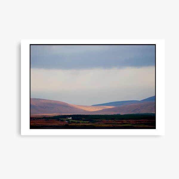 a day for the fire Canvas Print