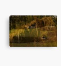 She remembers Canvas Print
