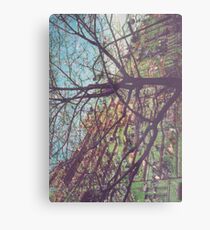 Streetscape Metal Print