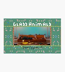 Glass Animals Season 2 Episode 3 Photographic Print