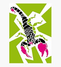 Scorpion Fotodruck