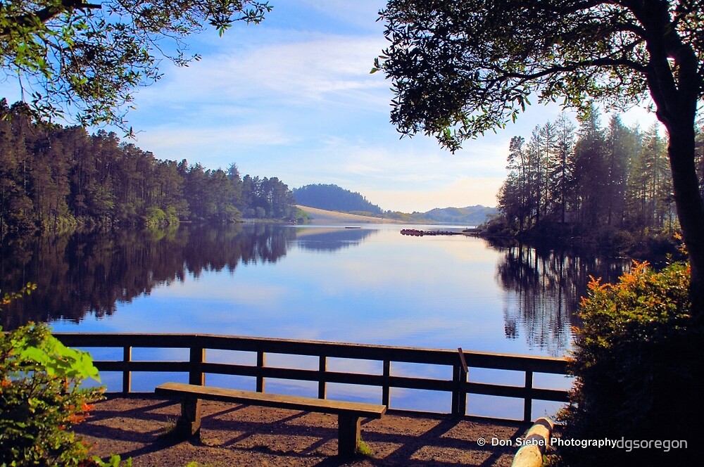 "Cleawox Lake Florence Oregon" by Donald Siebel Redbubble