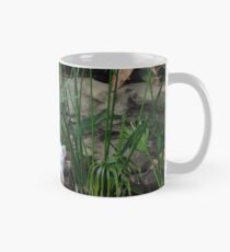 Boo at the pond Mug