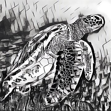 Tortue noire et blanche Poster