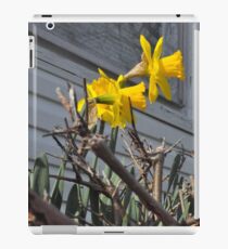 Daffodils iPad Case/Skin