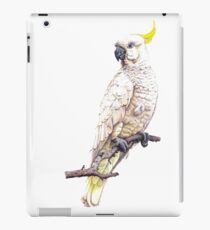 Sulphur Crested Cockatoo iPad Case/Skin