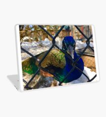 Sassy Peacock Laptop Skin