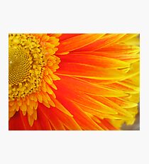 Curls Photographic Print