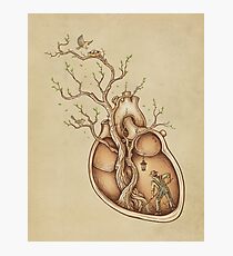 Tree of Life Photographic Print
