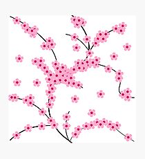 Sakura Tree Photographic Print