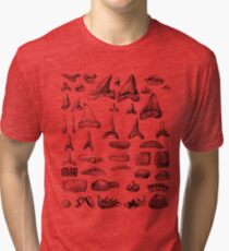 Shark Teeth and Shells Fossils Archeology & Natural History Tri-blend T-Shirt
