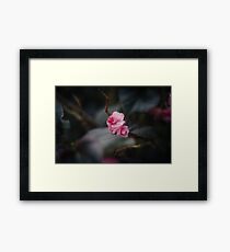 Precious Framed Print