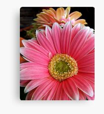 Happy Pots Canvas Print