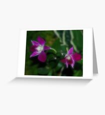 Twins Greeting Card