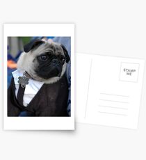 The Suit Postcards