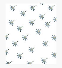 flower Photographic Print