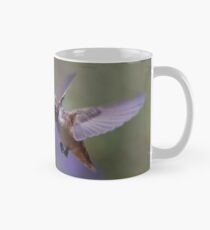 Taza Allen's Hummingbird