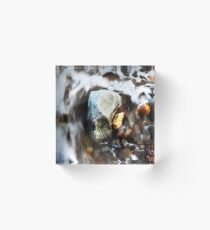 Water & Rocks Acrylic Block