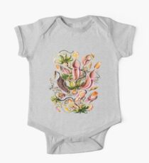 "Carnivorous Plant" Horticulture, Venus Flytrap Houseplant One Piece - Short Sleeve