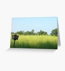 Birdfeeder Greeting Card