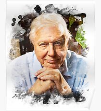 David Attenborough Watercolour Poster
