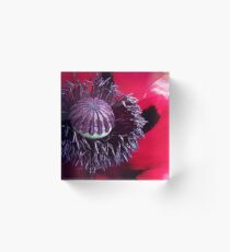 Real Red Acrylic Block