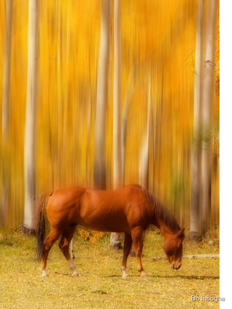 Mystic Horses by mrbo