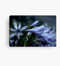 Moonlit Lavender Petals Canvas Print