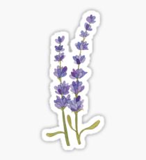 Leave it to Lavender Sticker