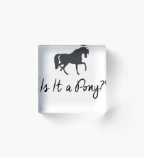 Is It A Pony? Acrylic Block