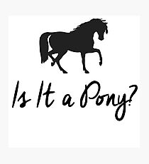 Is It A Pony? Photographic Print