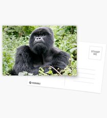 Dignified Postcards