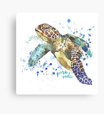 Sea Turtle Pura Vida Watercolor Canvas Print
