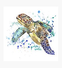 Sea Turtle Pura Vida Watercolor Photographic Print