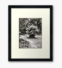 Arrested Development Framed Print