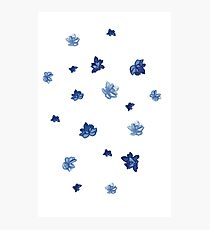 Blossoms Photographic Print