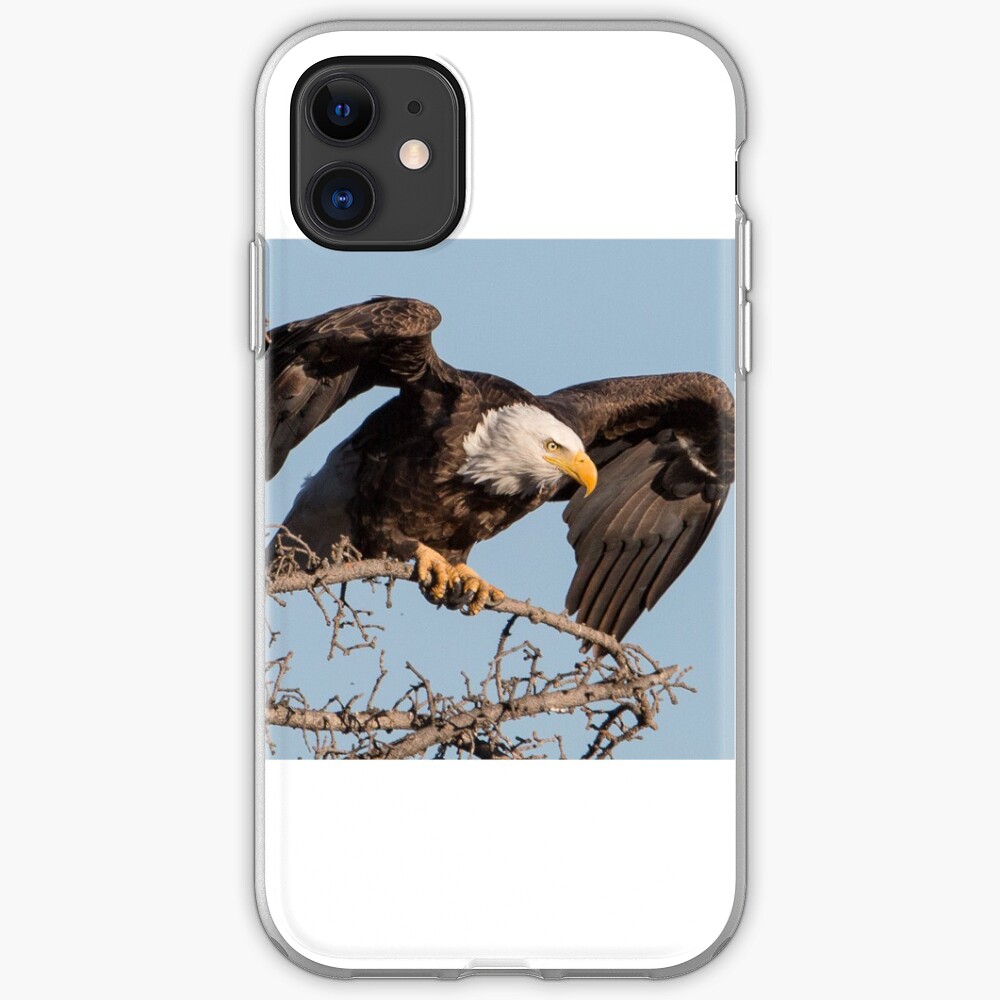 Bald Eagle: prelaunch wing test iPhone Case & Cover