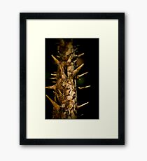 Gothic Framed Print